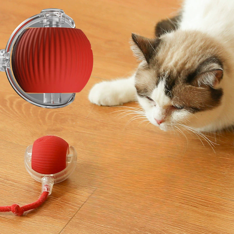 Cat Tickling Ball