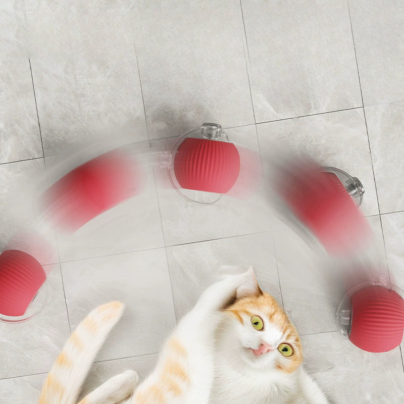Cat Tickling Ball