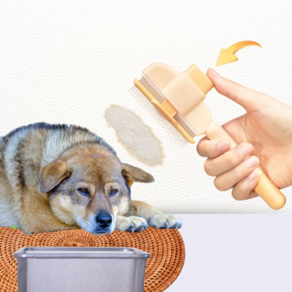 Cat Dog Hair Remover Brush