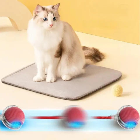 Cat Tickling Ball