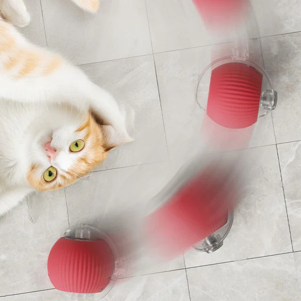 Cat Tickling Ball