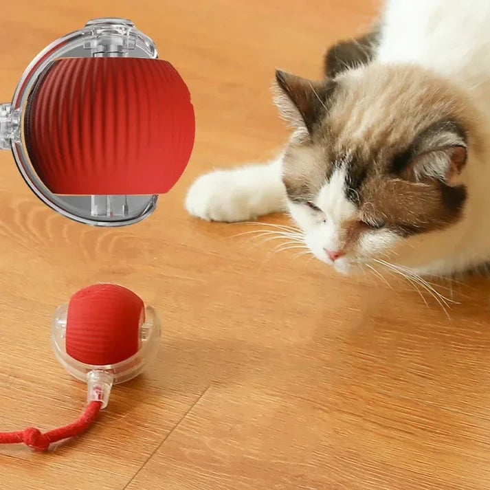 Cat Tickling Ball