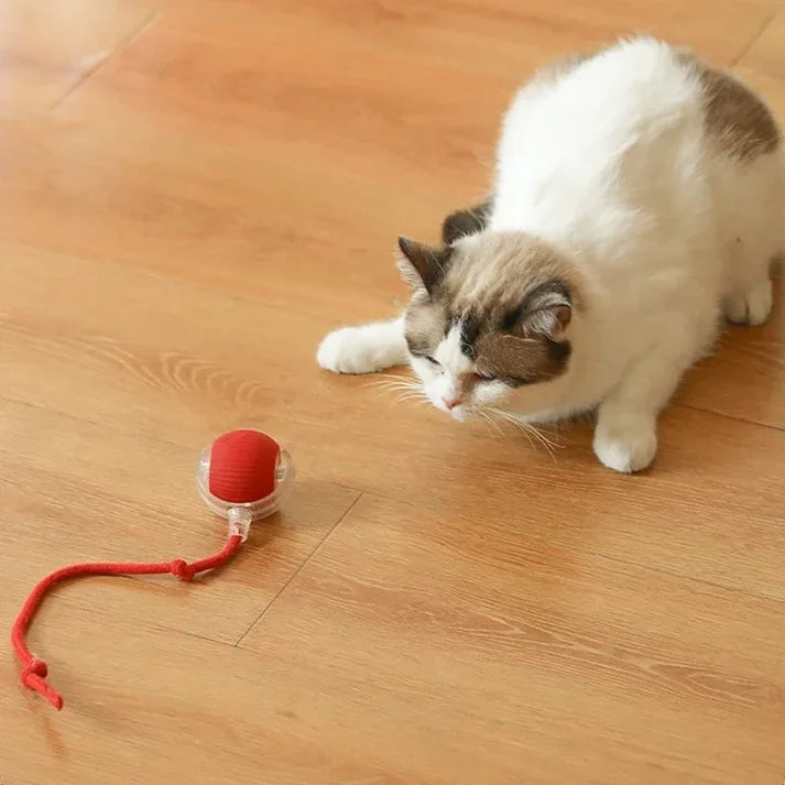 Cat Tickling Ball