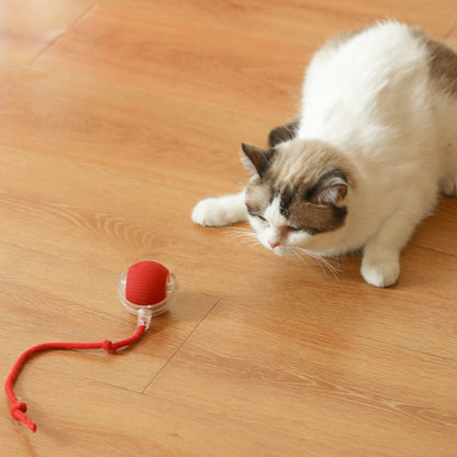 Cat Tickling Ball