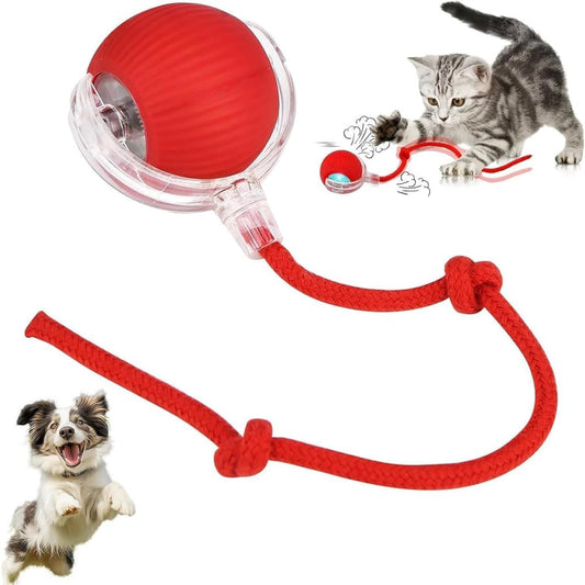 Cat Tickling Ball