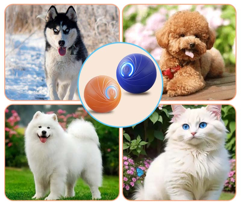Gravitational Rolling Ball