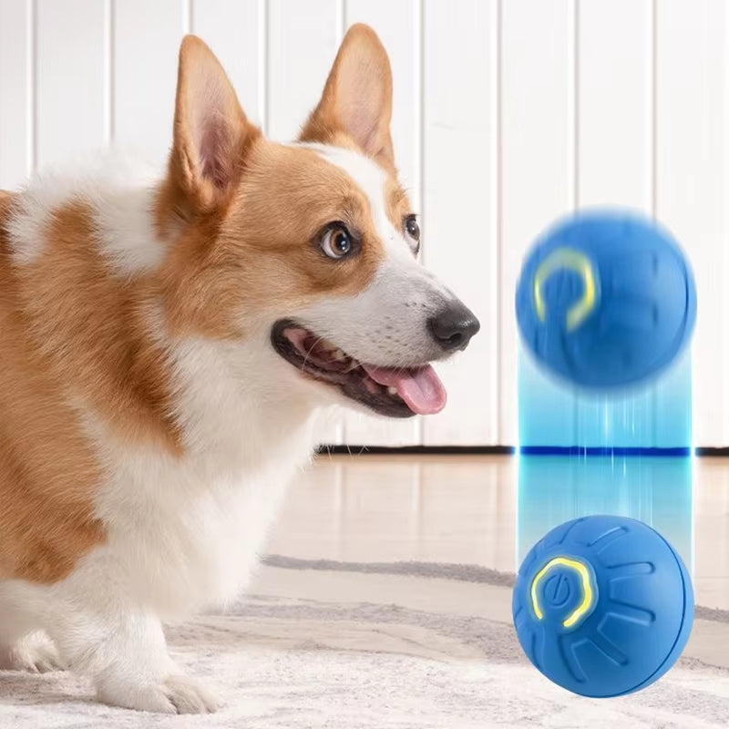 Gravitational Rolling Ball
