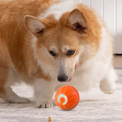 Gravitational Rolling Ball