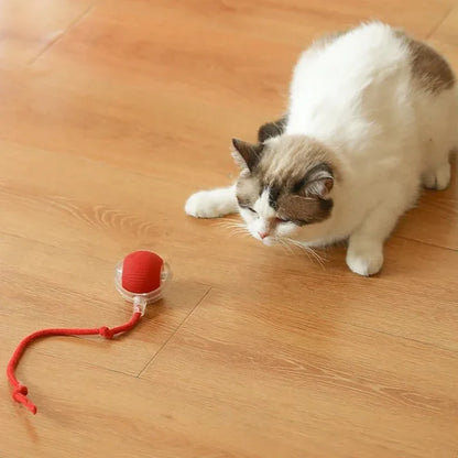 Cat Tickling Ball